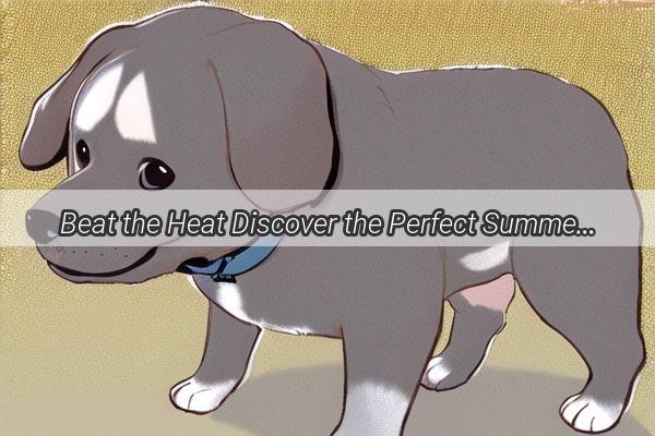 Beat the Heat Discover the Perfect Summer Hydration Remedies for Your Furry Friend